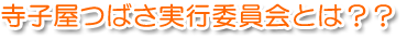 寺子屋つばさ実行委員会とは??